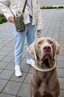 PALOPA Torebka saszetka na butelkę i smakołyki 2w1 Boudi dark olive