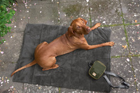 PALOPA Mata dla psa Alma anthracite S