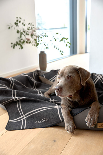 PALOPA Legowisko dla psa bawełniane Fred anthracite S