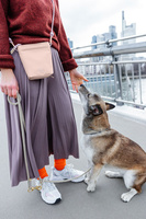 PALOPA Torebka saszetka na smakołyki dla psa Karl soft pink M