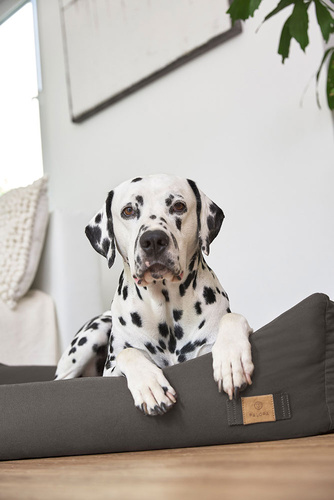 PALOPA Legowisko dla psa bawełniane Fred anthracite S