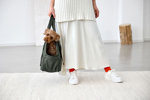 PALOPA Torba transportowa dla psa do 10kg Weda dark olive