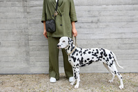 PALOPA Torebka saszetka na smakołyki dla psa Greta black L