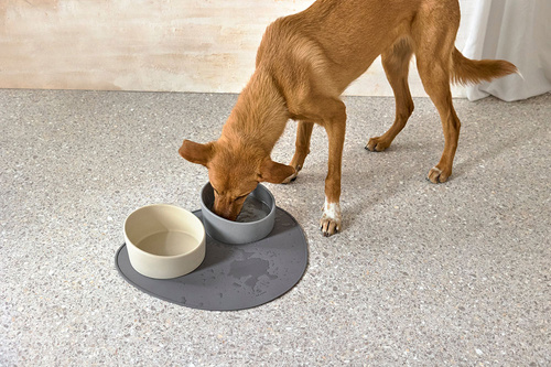 PALOPA Miska dla psa porcelanowa Cali grey