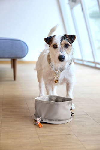 PALOPA Miska turystyczna dla psa składana Tura taupe