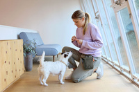 PALOPA Torebka saszetka na smakołyki dla psa Greta dark olive L