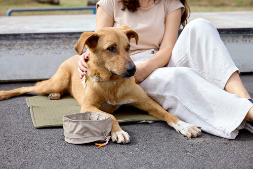 PALOPA Torba i mata dla psa 2w1 Nobo sage